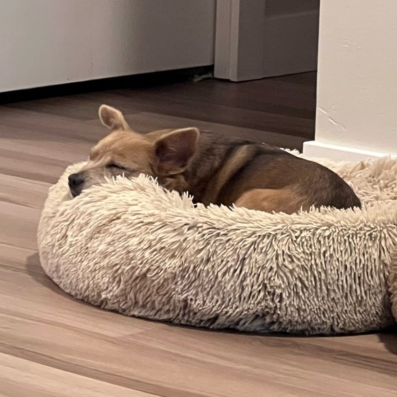 Meet your Posher, Joy antoinette - Picture 3 of 3